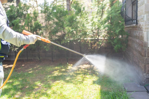 Indoor Pest Control in Oakridge, OR